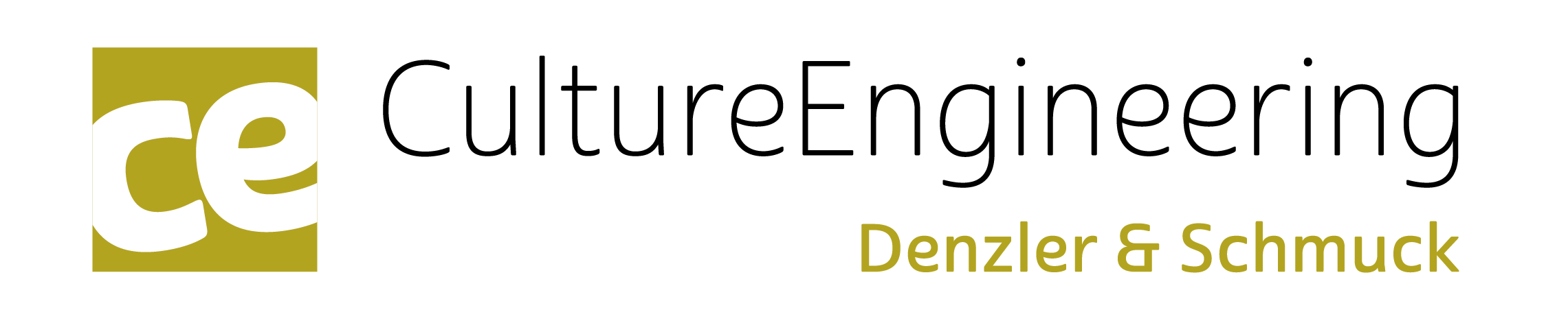 Denzler & Schmuck Unternehmensberatung
